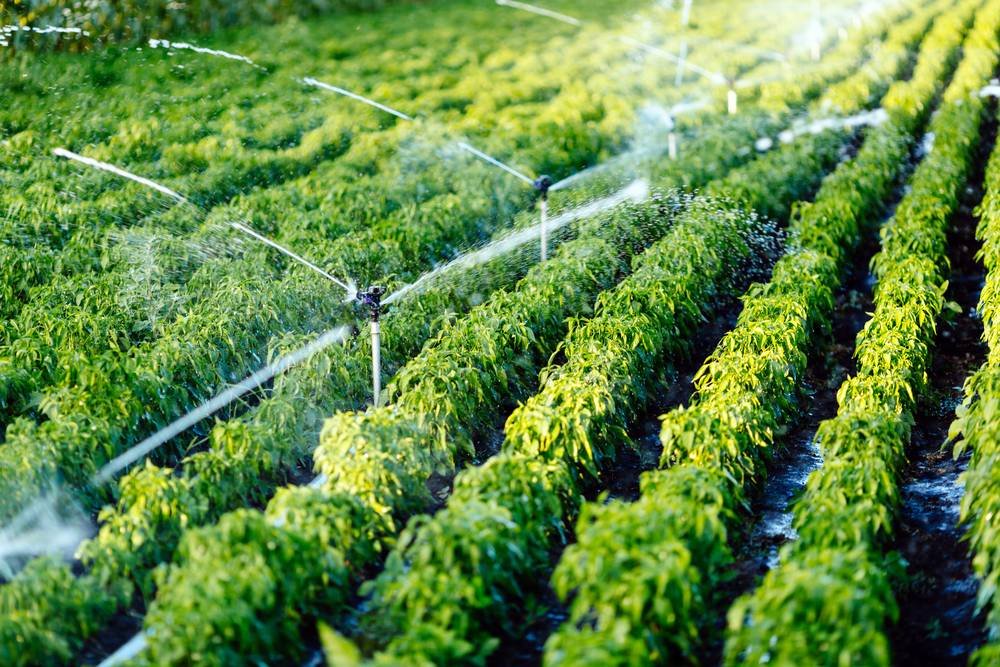 Water Solutions